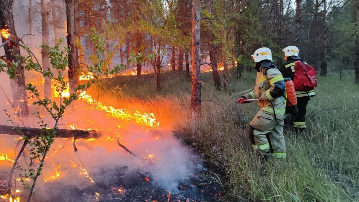     Пожар снова возник в лесном массиве возле хутора Донской Городищенского района. На место выехали расчеты спасателей, по информации ГУ МЧС по Волгоградской области.
