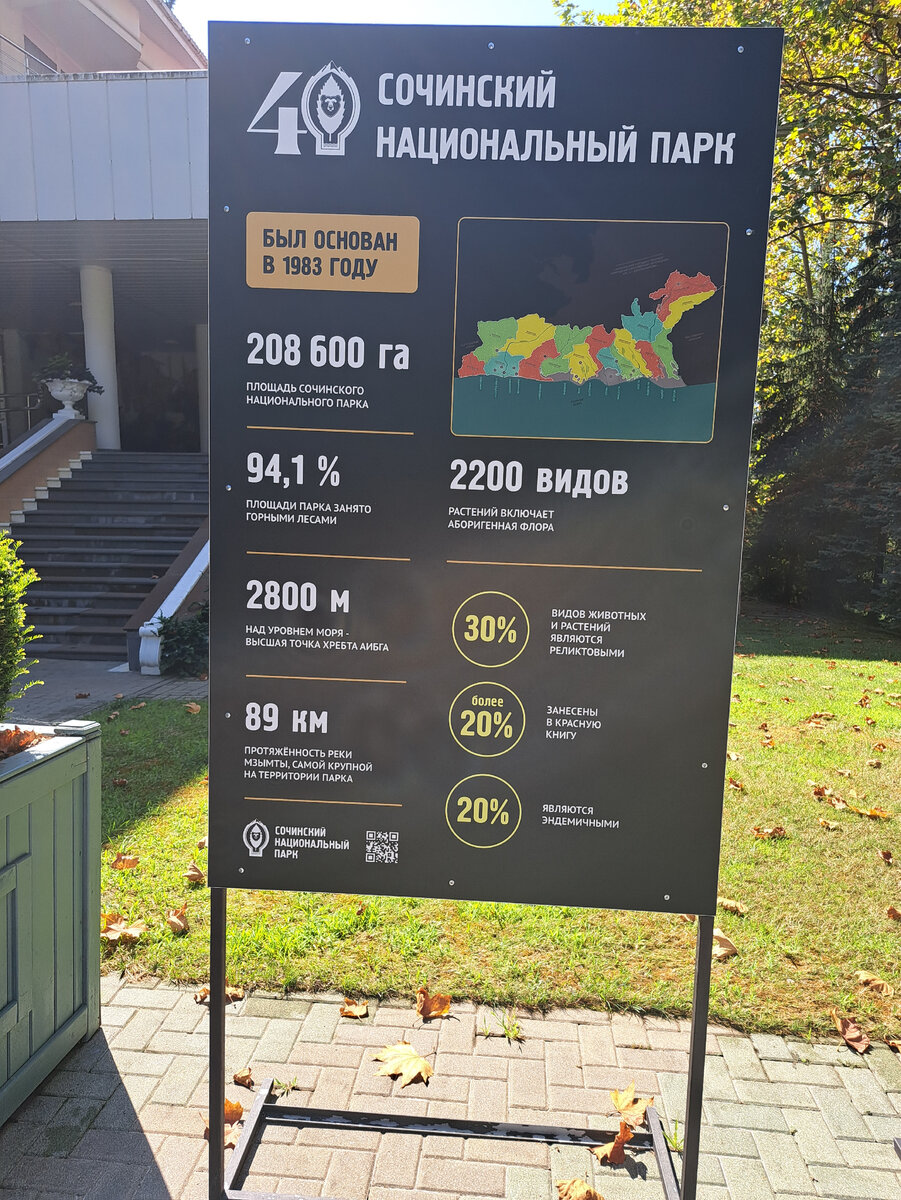 Сочи, день 18. Верхний дендрарий и Мидийное место🦪 | Мама Ксюша и ее ...