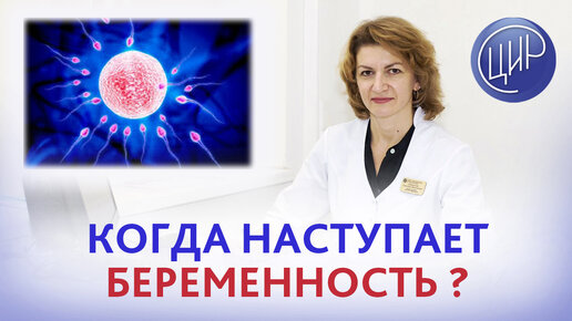 Овуляция и оплодотворение Когда наступает беременность после овуляции? Дементьева С.Н.