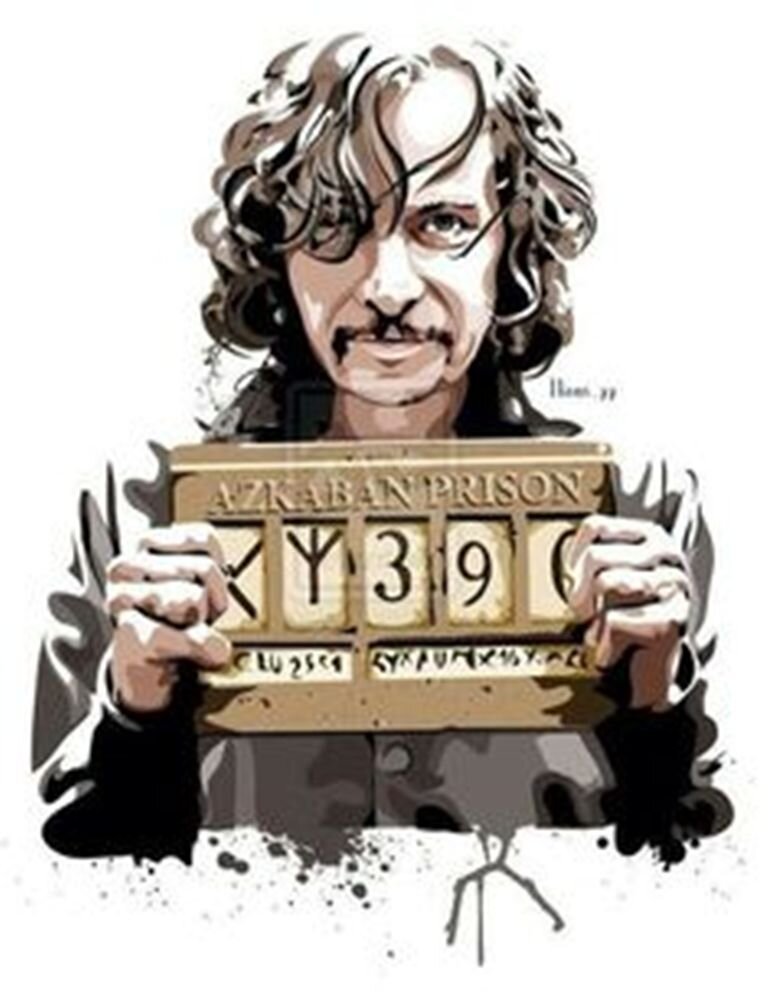 Тоже пример судебной системы. Фото с Pinterest