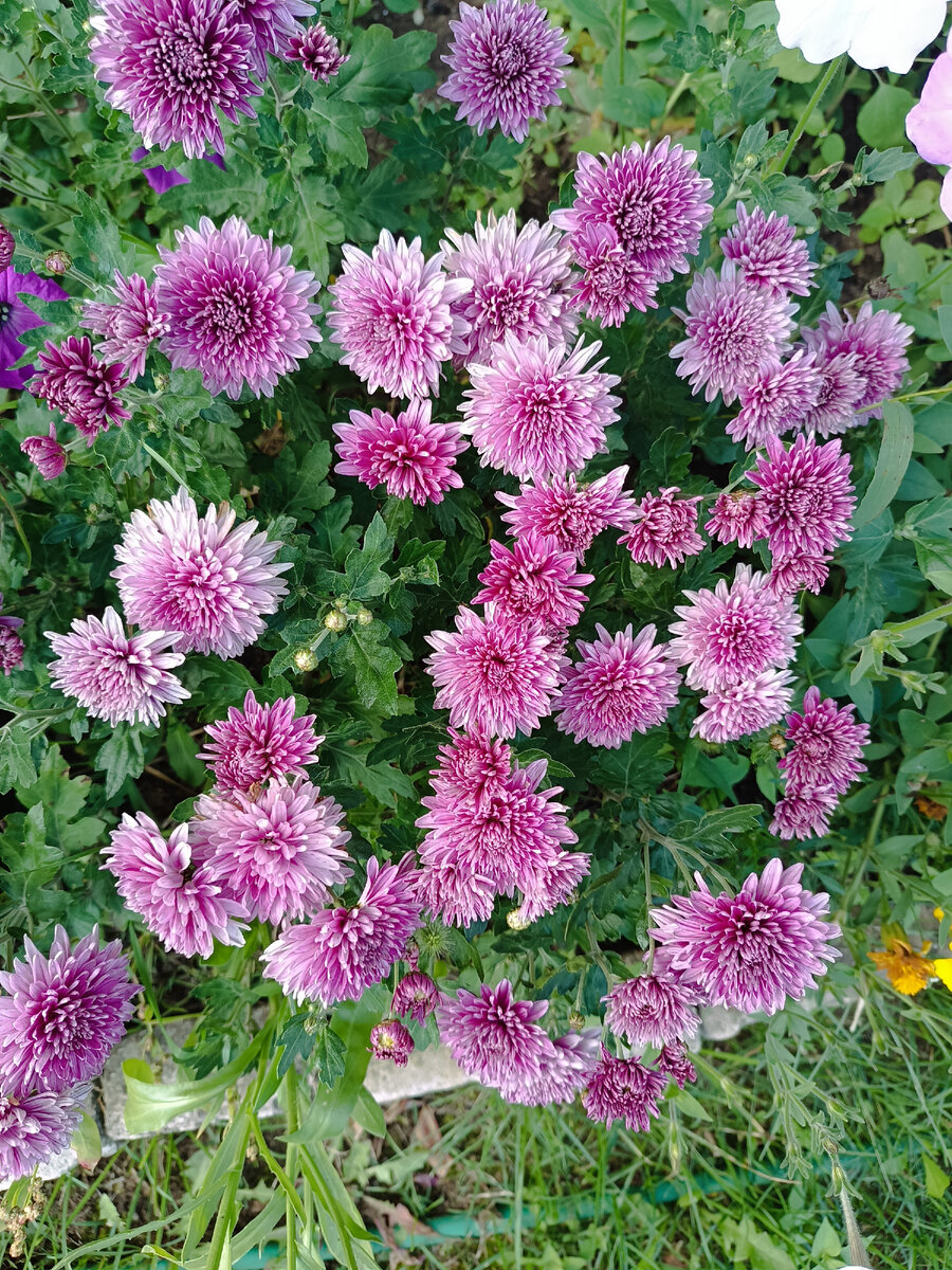 Фото из личного архива автора 