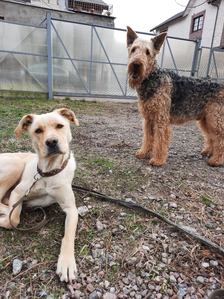 Обложка и оригинал для ценителей