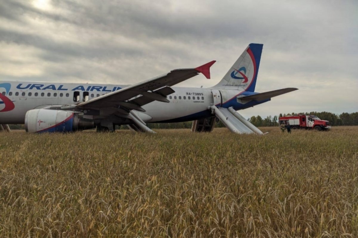    Экс-лётчик прокомментировал посадку A320 в поле под Новосибирском