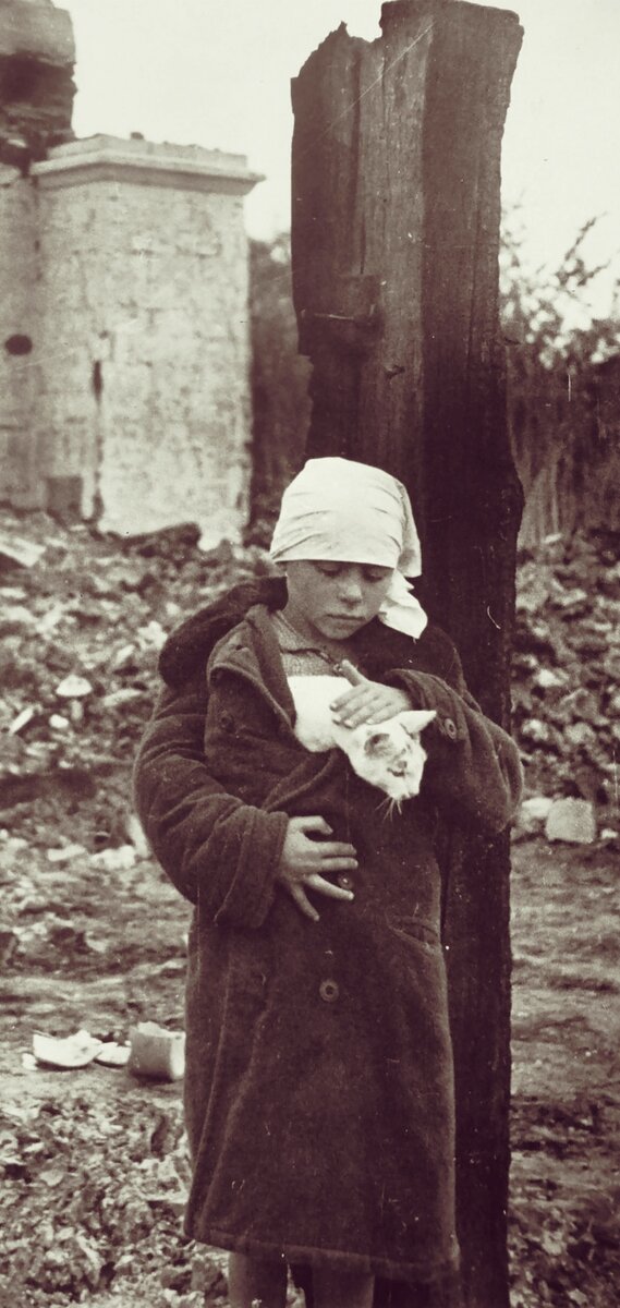 Фото взято с свободного доступа в интернете.