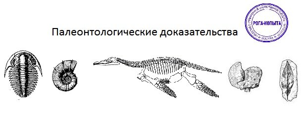 Источник: ege-study.ru