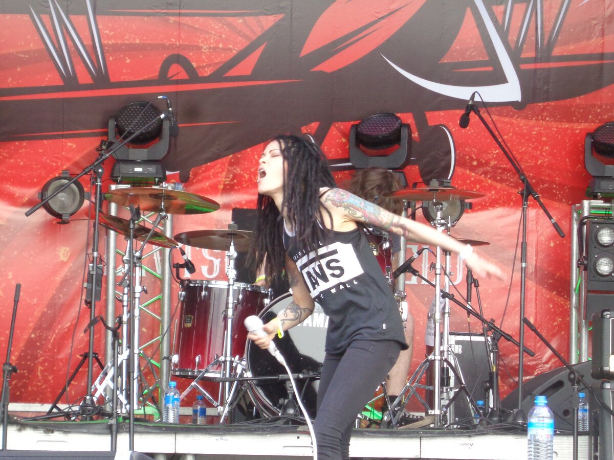 На красной сцене Доброфеста (2017)