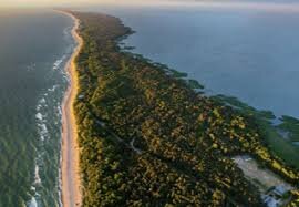 Фото взято из общего источника 