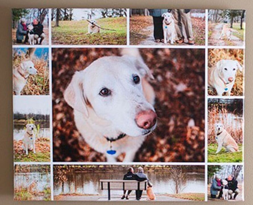 Источник: Картинка взята из общего пользования.