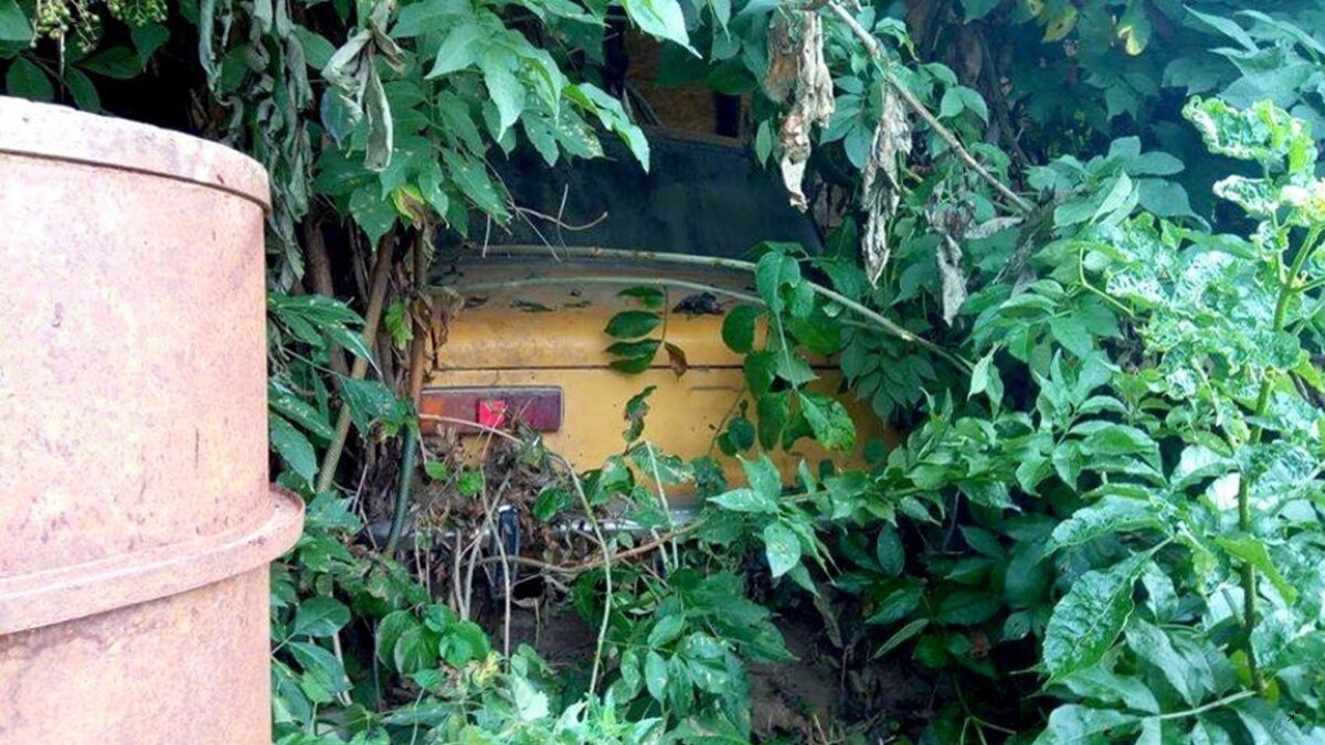 3 картинки в галерее. Листаем стрелкой. Загружено с pixabay.com