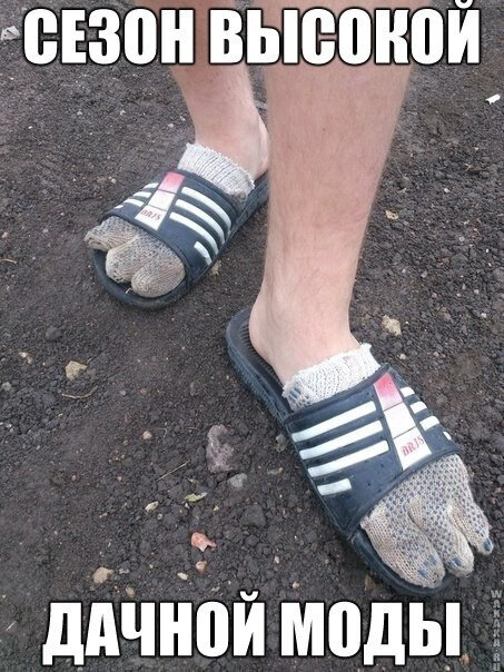 Фото waxaxablog.wordpress.com