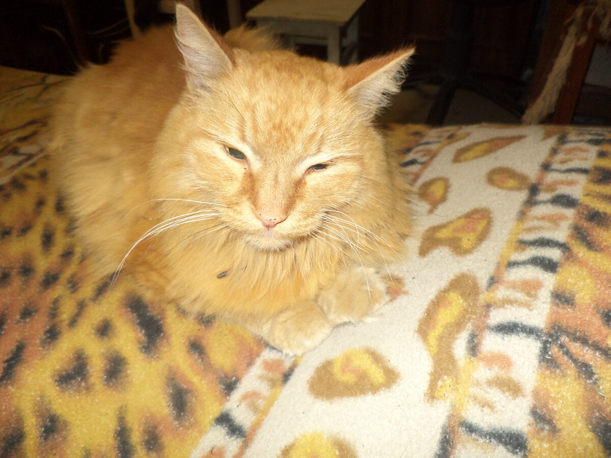 Предательство, говоришь?  А что это?