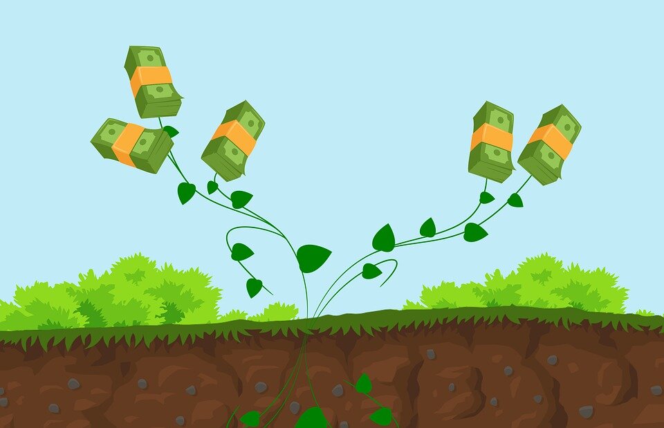 https://cdn.pixabay.com/photo/2019/05/31/17/47/plant-4242667_960_720.jpg
