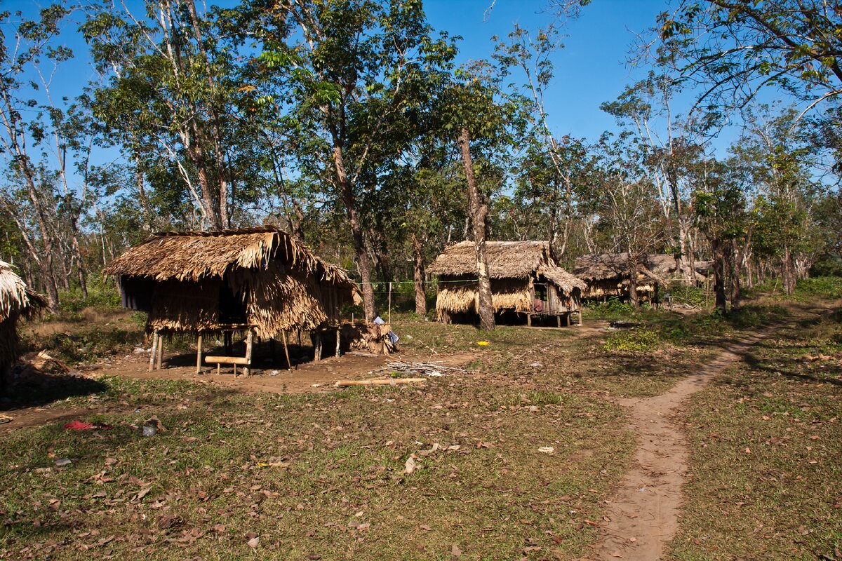 Так выглядит деревня, в которой они живут прямо на плантации (фото автора)
