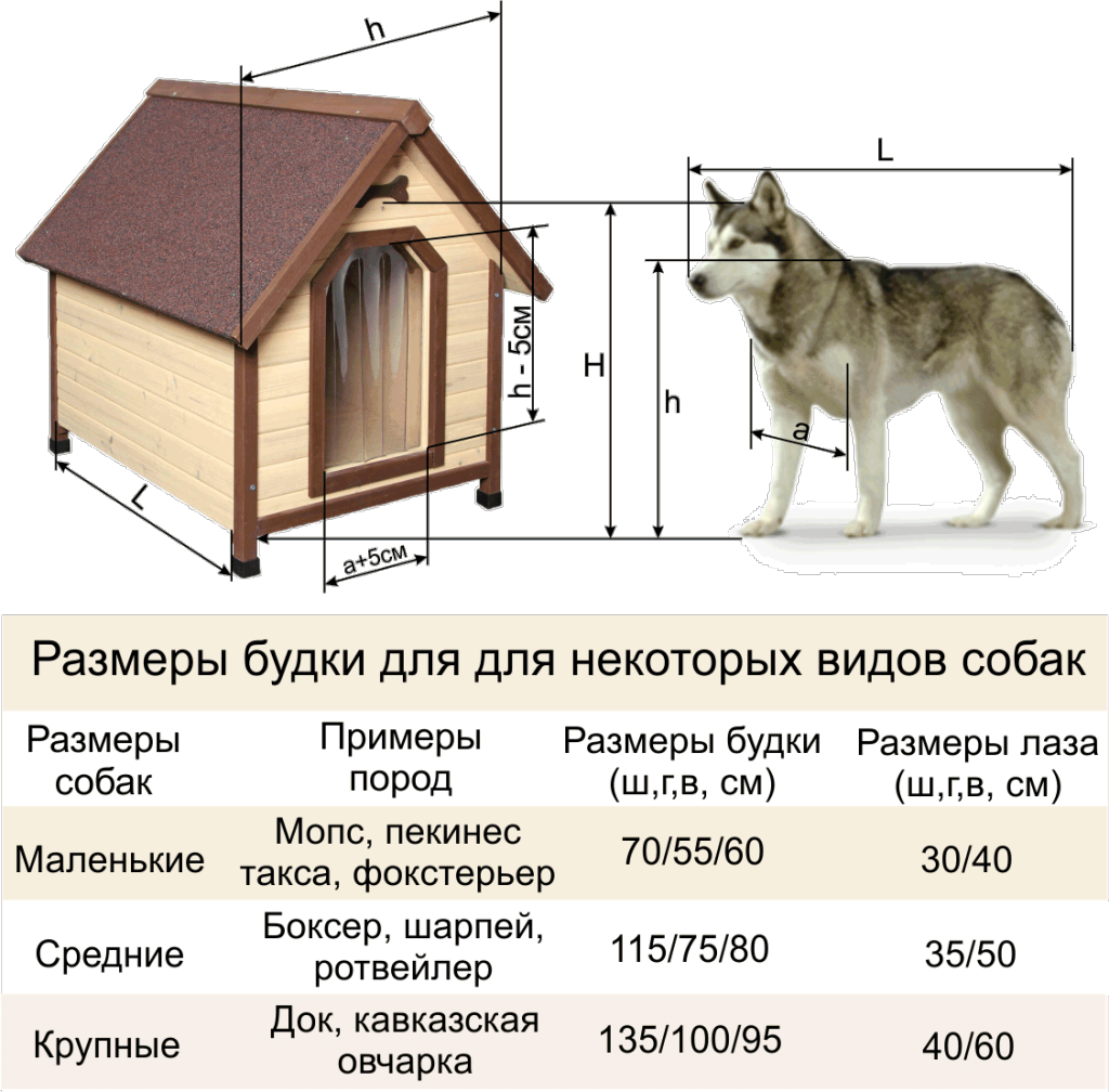 Как построить будку для собаки своими руками – от идеи до установки