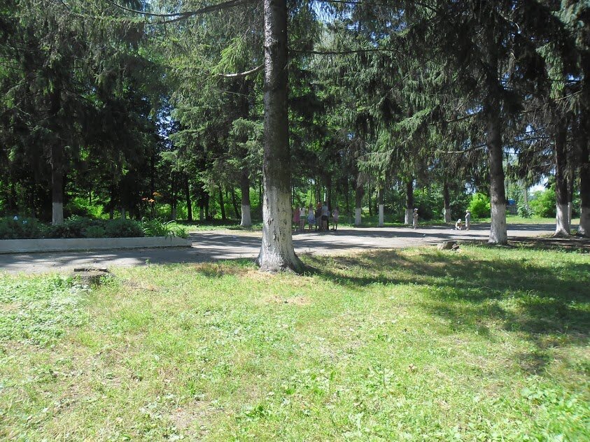 фото из семейного архива