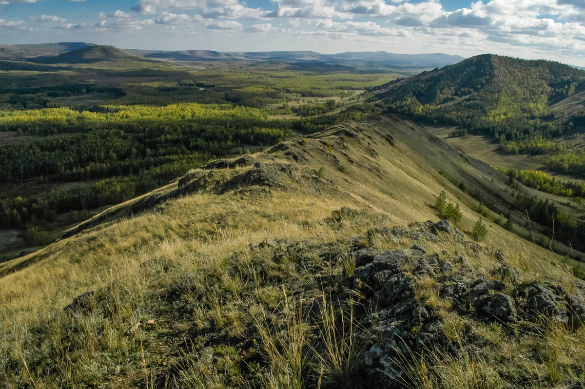 Фото Сергея Рясова: https://vk.com/wall2945428_16994
