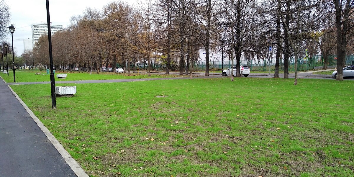 Новая трава. Недавно подросла.