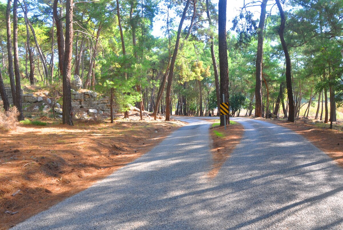 асфальтированная дорога