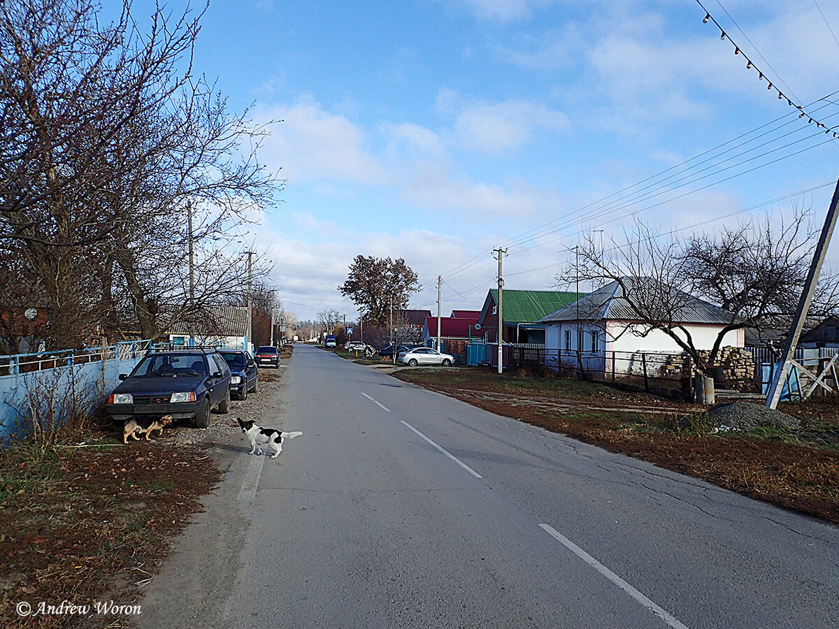 Центральная улица хутора Красный