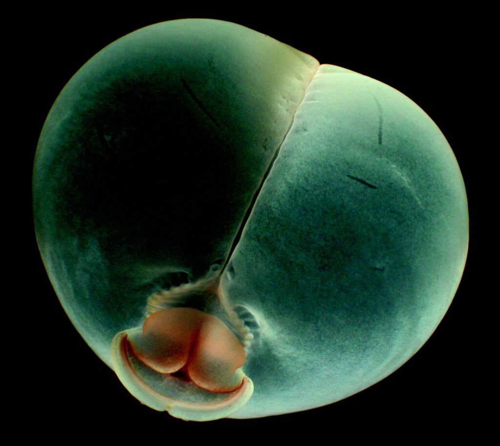 Источник: yandex.ru