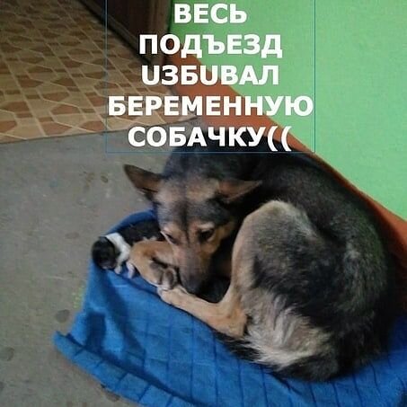 Фото из первоисточника