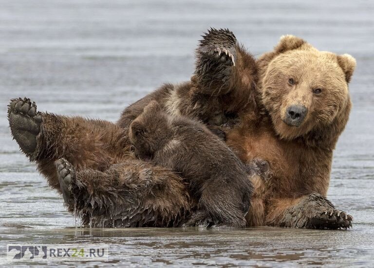 Фото: Renee Doyle / Caters News