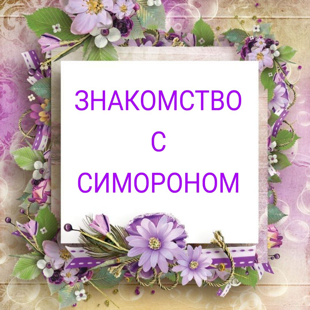 Стих про симорон