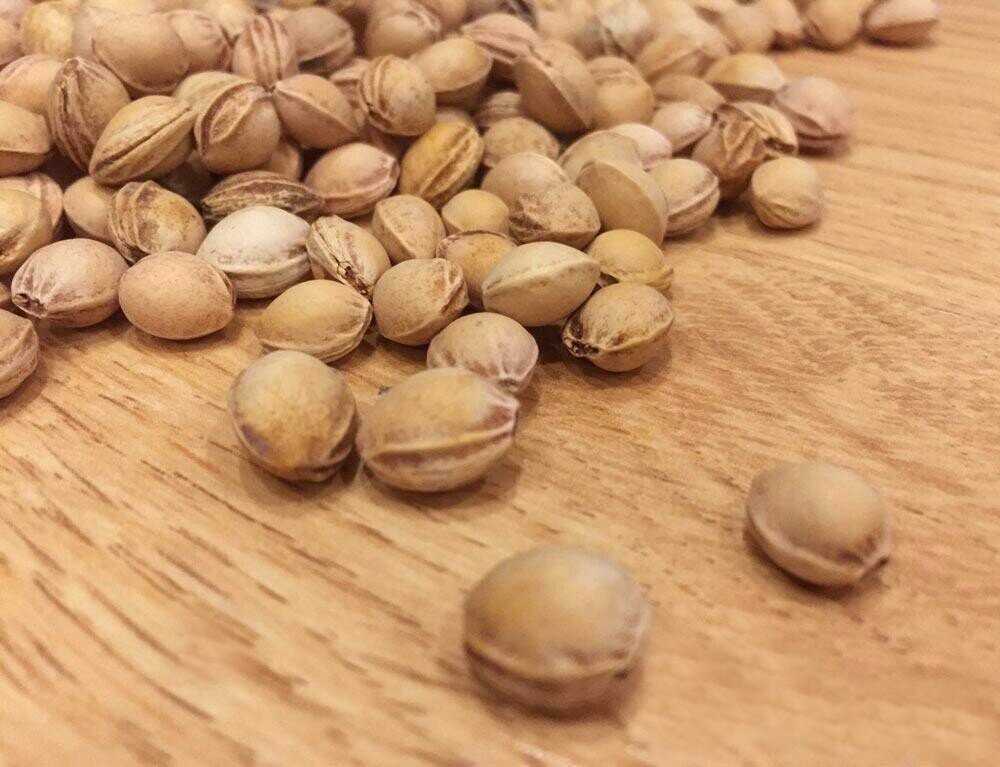 Семена вишни