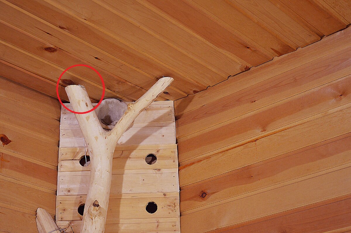 Один у потолка (высота парной у меня 2,5 метра)