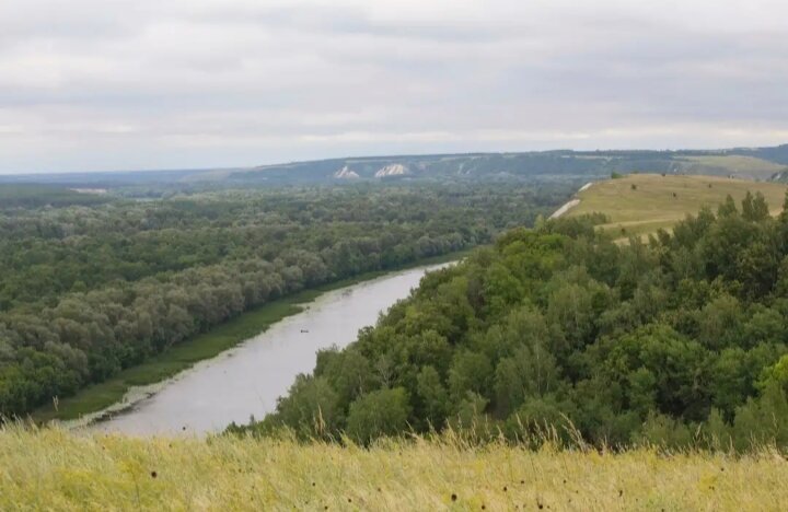 Красота Воронежской области. Фото взято на просторах интернета.