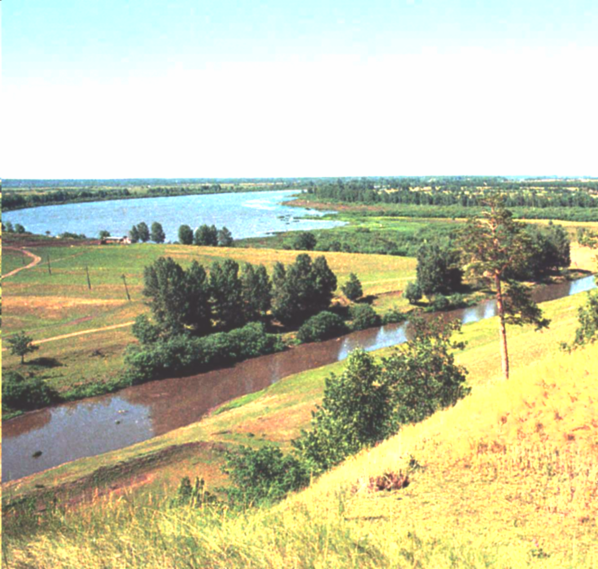 Восточно-Европейская равнина