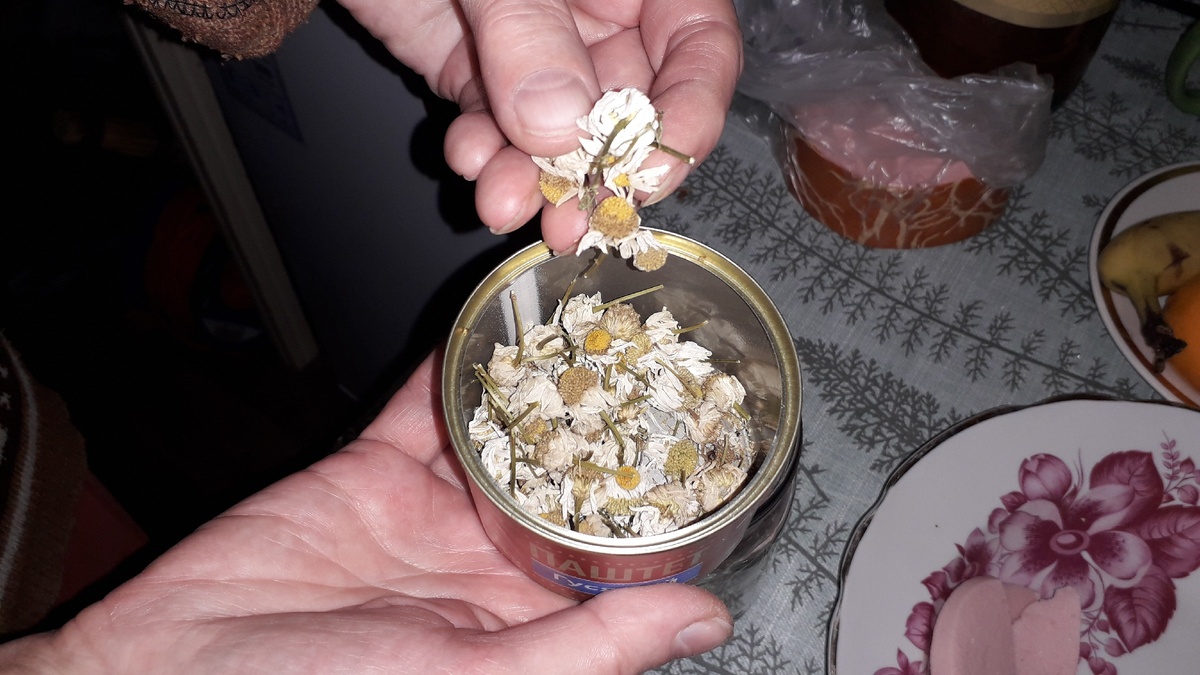Сушенные цветки ромашки