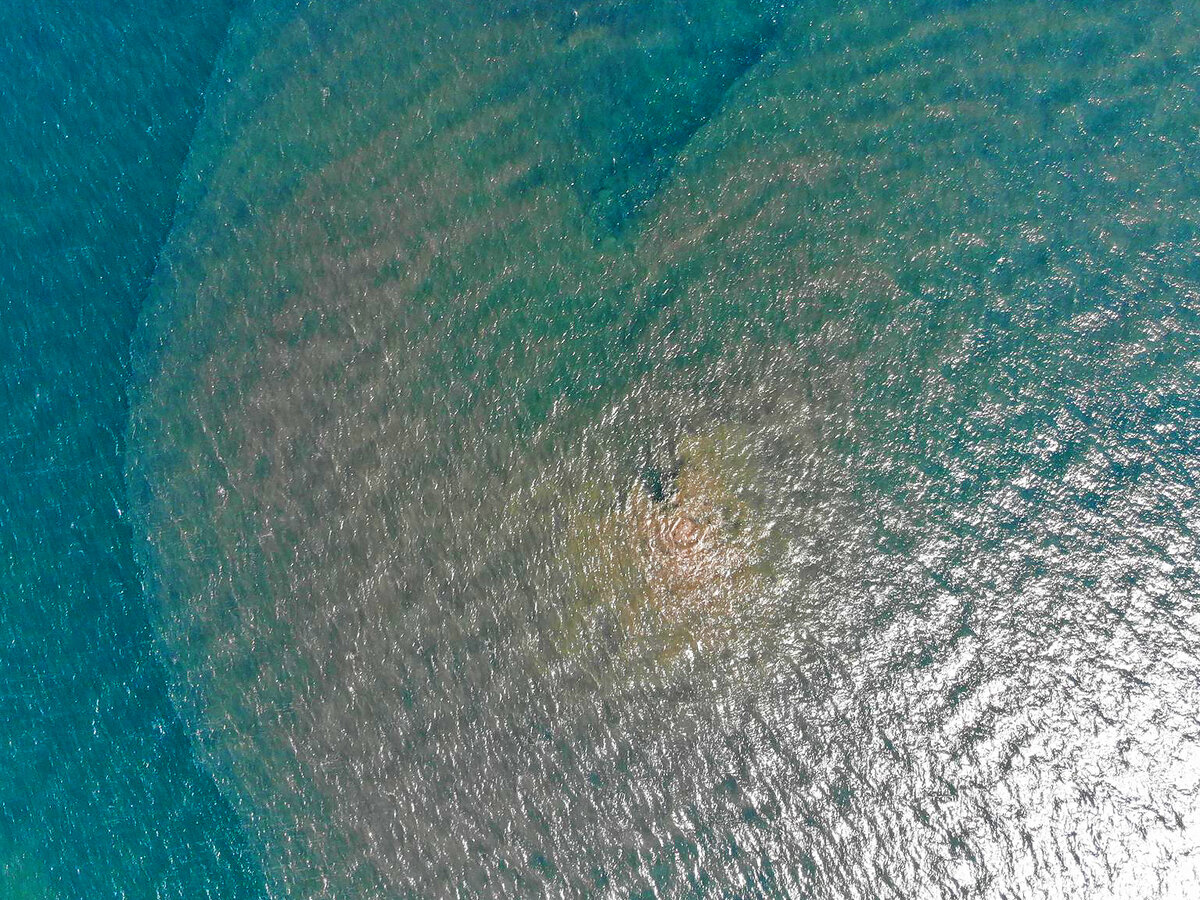 Фото: Дмитрий Алексеев (29 марта)