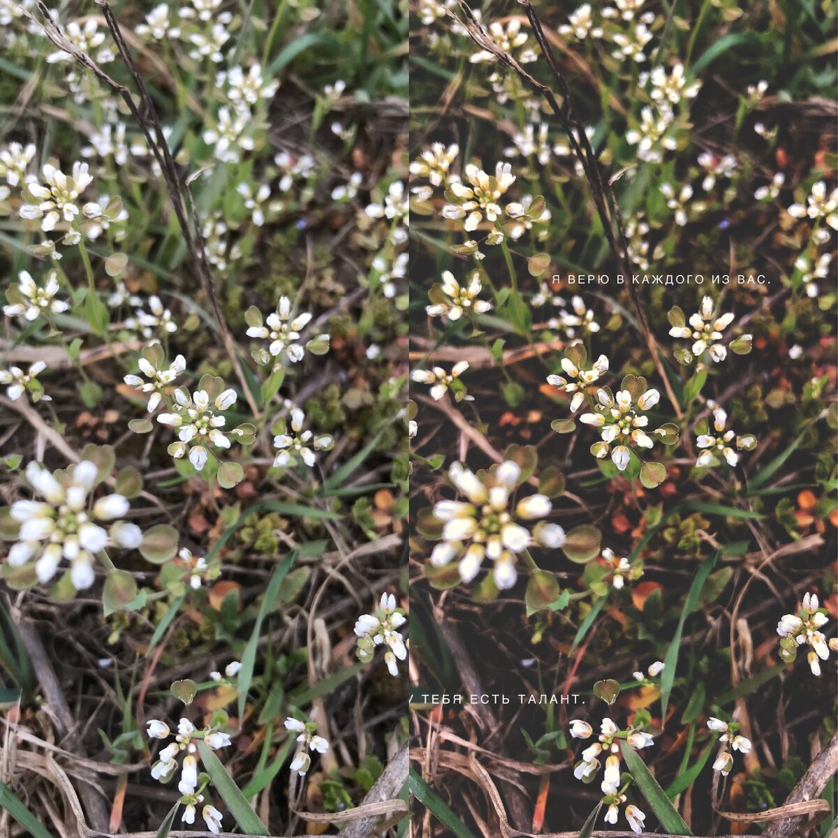 До и после обработки в «Snapseed».