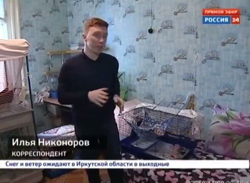 Корреспондент знакомит зрителей с питомцами приюта (Выпуск программы «Вести 24» 08.11.2019)