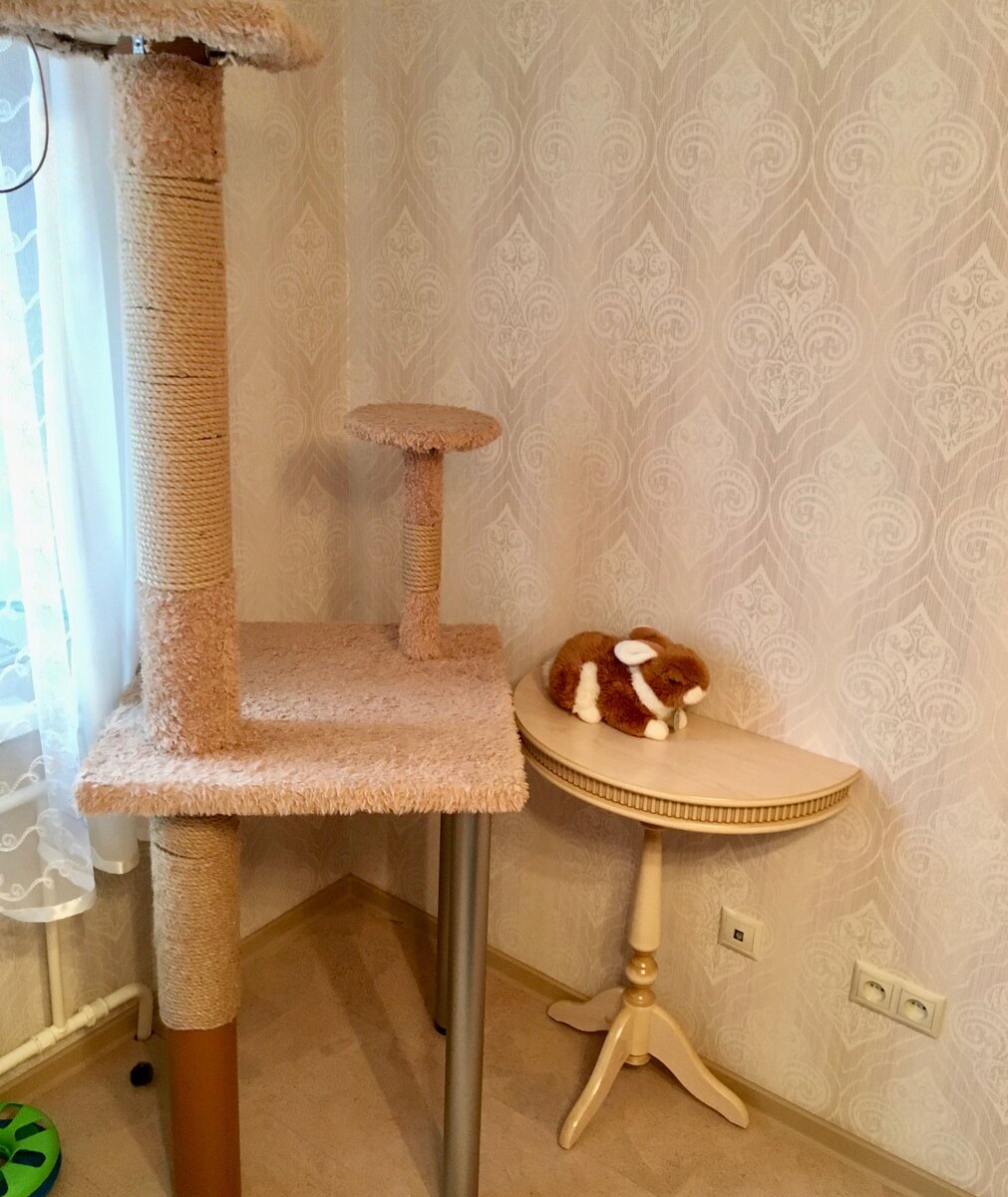 Наше кошачье дерево