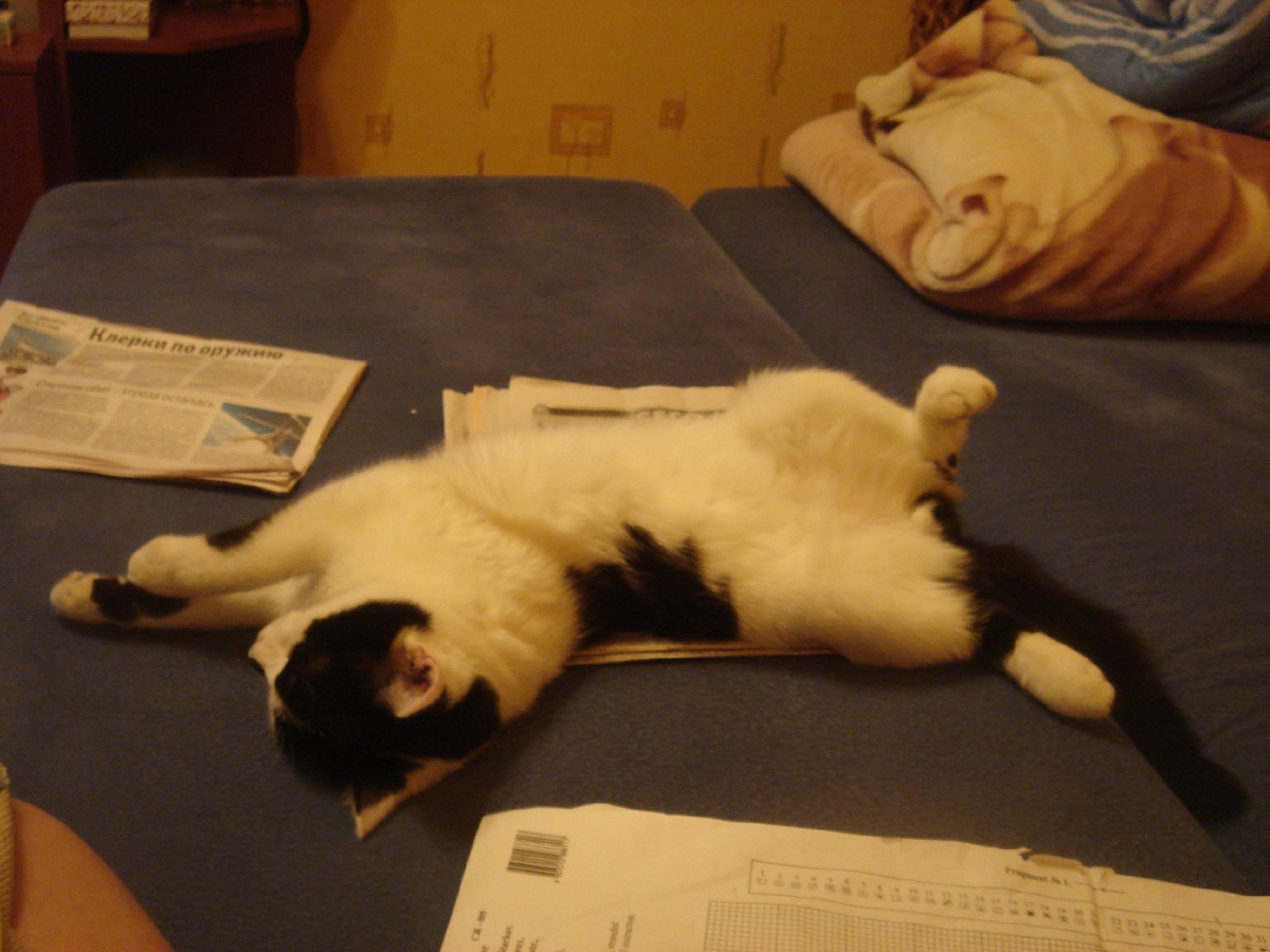 балдею у ног Машки