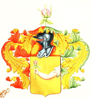 И скажите мне спасибо, что я не стал фотографии больных оспой прикладывать...