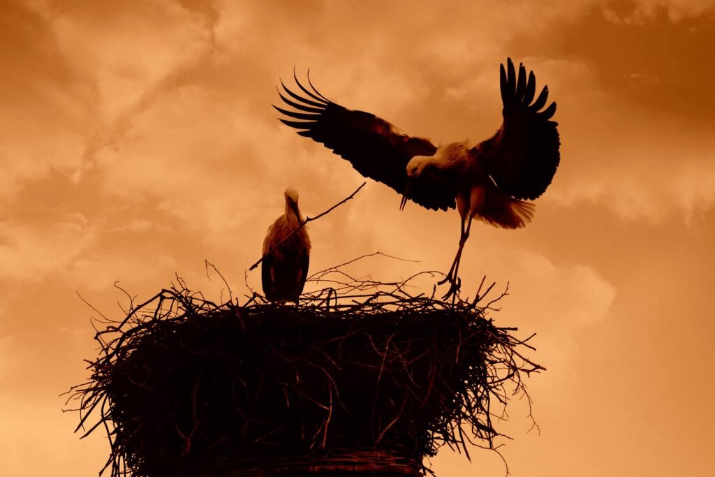 Благовещенье