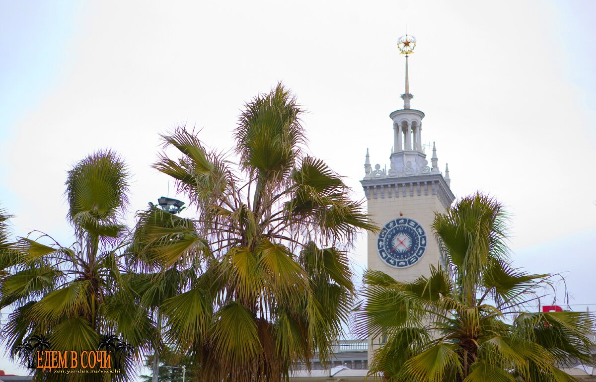 Едем в Сочи. Город Сочи.