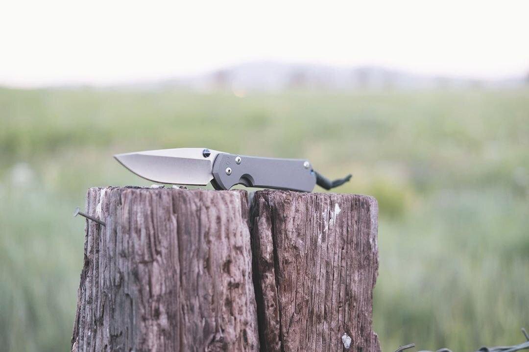 фото взято из https://www.instagram.com/p/B4AinCWpHAA/