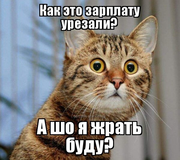 Картинки ура зарплата