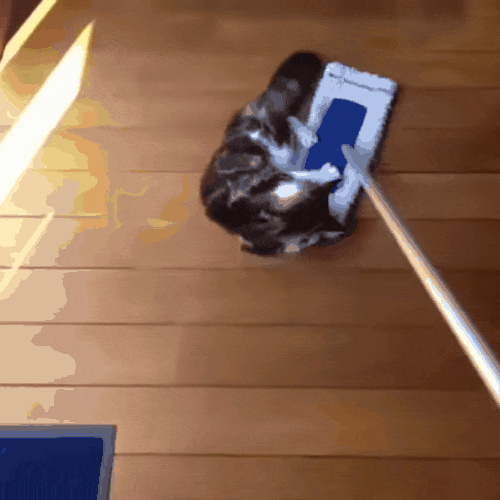 acegif.com