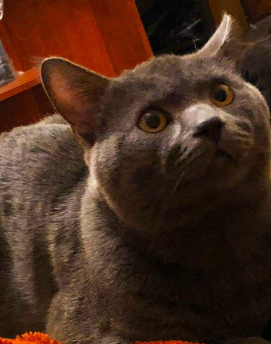 IMG_20200503_150131     Фото из личного архива.