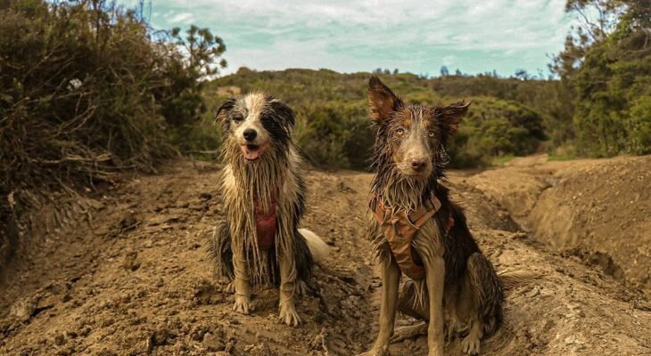 Фотоматериал: Instagram: @felix_n_finley