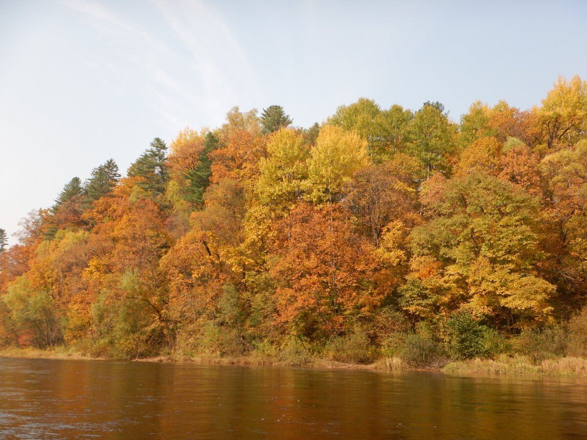 Ржавая осень