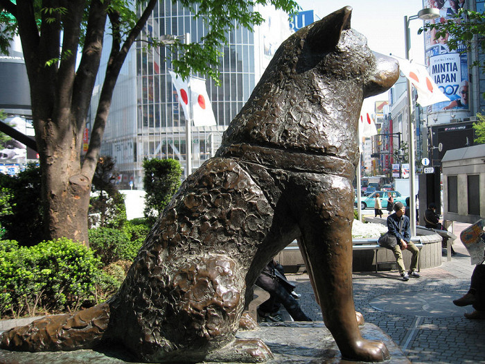 Памятник Хатико. Ресурс: https://travel.rambler.ru/