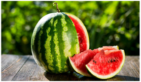 The   watermelon is bewitching. Its appearance, the sound when tapping it, but   especially the specific crack when cutting and, of course, its red flesh,   beckoning to every watermelon connoisseur.
