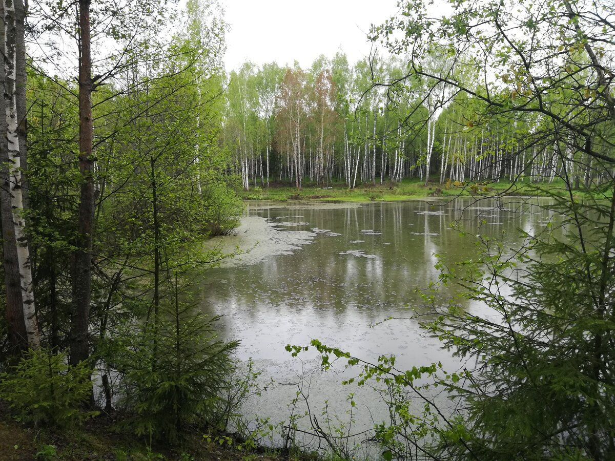 всё та же прудка