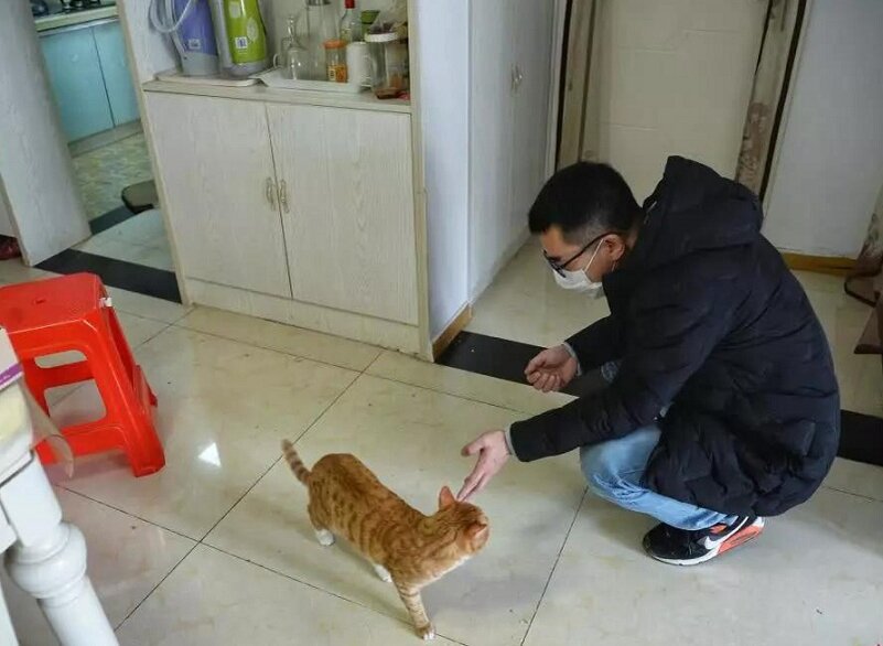 В Твери волонтёры ухаживают за животными людей, больных COVID-19